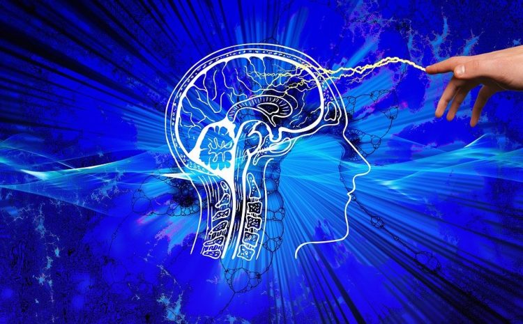 Hatay Psikoloji: Ruh Sağlığı ve Psikolojik Destek