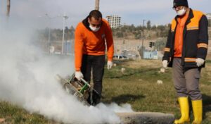 Büyükşehir vektör ile mücadelede işi sıkı tutuyor