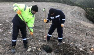 Karamürsel’e bin ağaç fidanı toprakla buluşacak