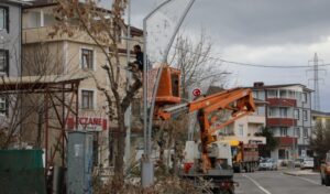 İzmit’te ağaç budama çalışmaları sürüyor