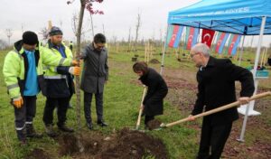 Aliyev’in anısına 100 fidan