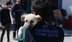 Bodrum’da veteriner hekimler unutulmadı