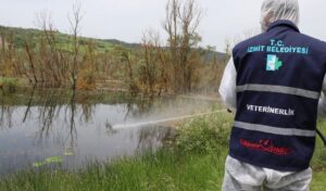 İzmit’te larva ile mücadele çalışmaları hızlandı