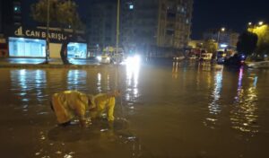 Kuvvetli yağış Mersin’i de vurdu